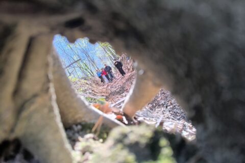 Foto: Rotary klub Brčko 1938