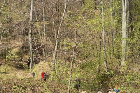 Foto: Rotary klub Brčko 1938