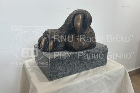 Фото: Анђелка Ђурић