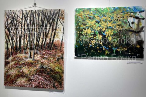 Фото: Анђелка Ђурић