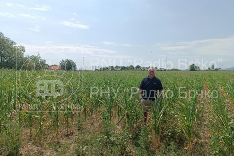 Foto: Mirsad Zahirović