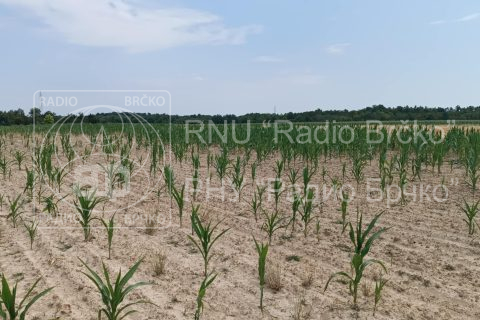 Foto: Mirsad Zahirović