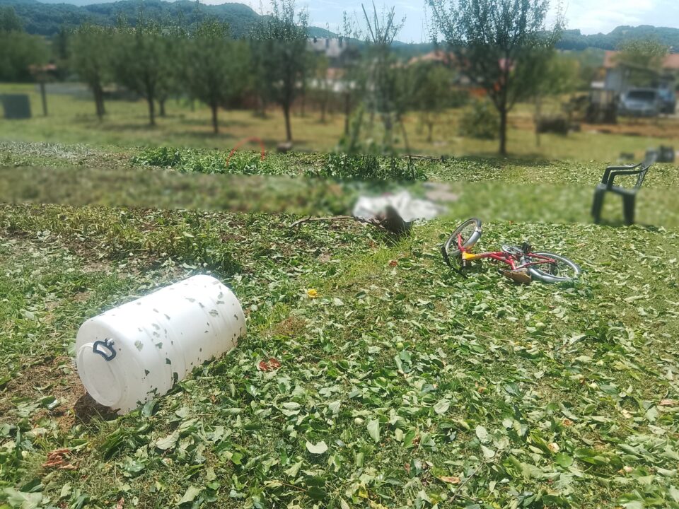 Фото: Владимир Матијевић