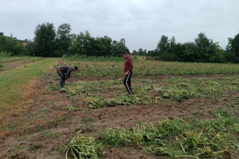 Foto: Mirsad Zahirović