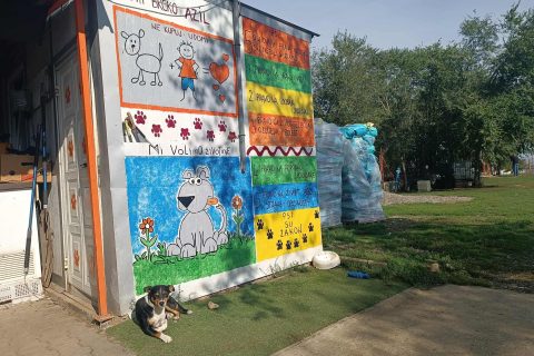 Foto: Mirsad Zahirović