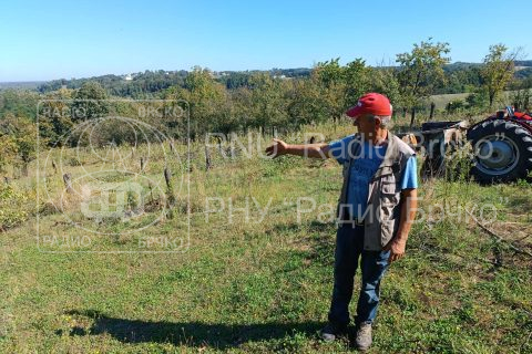 Foto: Mirsad Zahirović