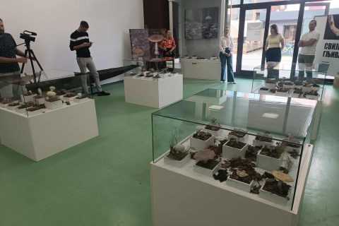 Foto: Mirsad Zahirović