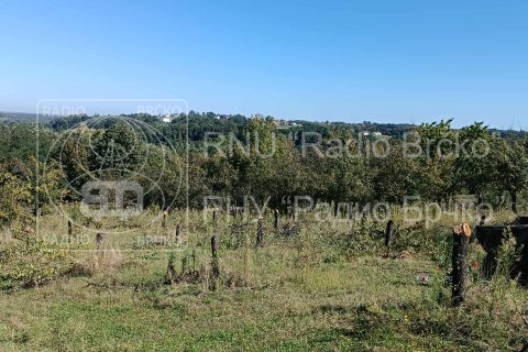 Foto: Mirsad Zahirović