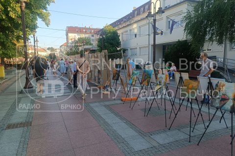 Фото: Дражен Ристић