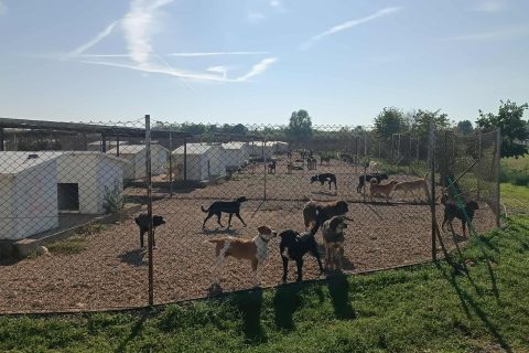 Foto: Mirsad Zahirović