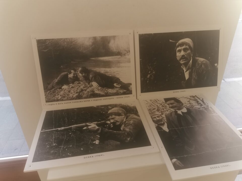 Foto: Sanita Jerković - Ibrahimović