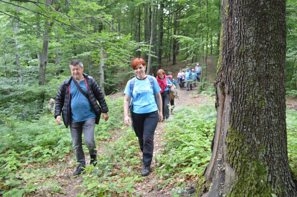 Foto: PD Granaš
