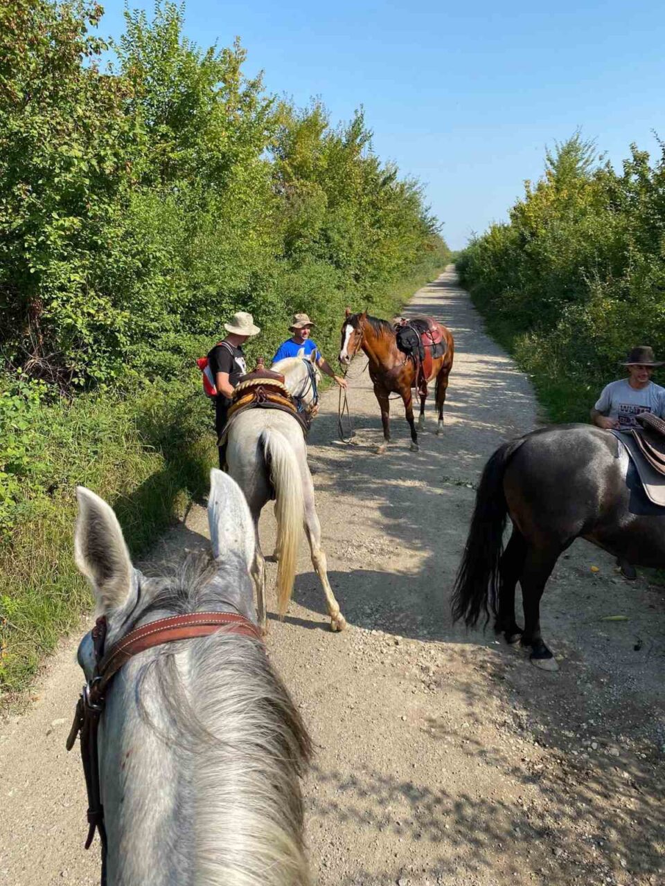 Foto: Vujadin Svrtan
