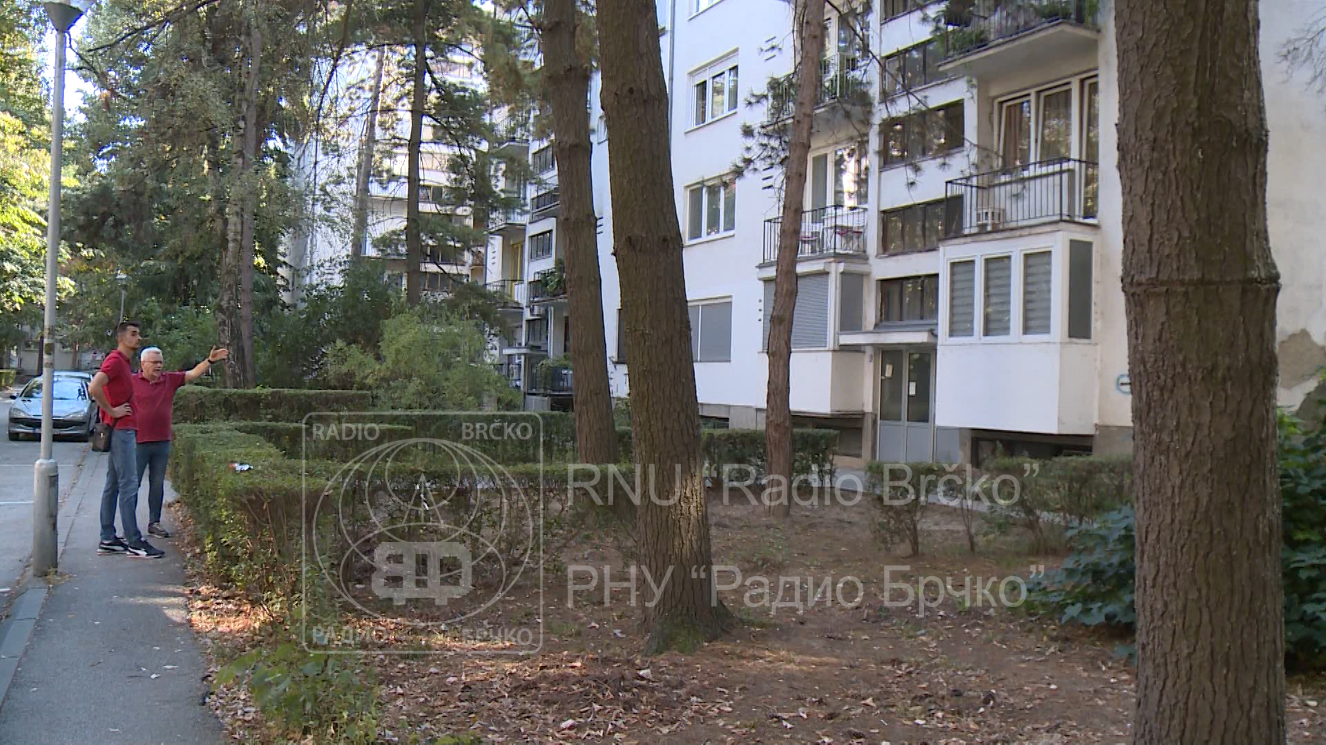 Opasnost od starih stabala u Novom Brčkom: Neophodno sistemsko održavanje Opasnost od starih stabala u Novom Brčkom: Neophodno sistemsko održavanje